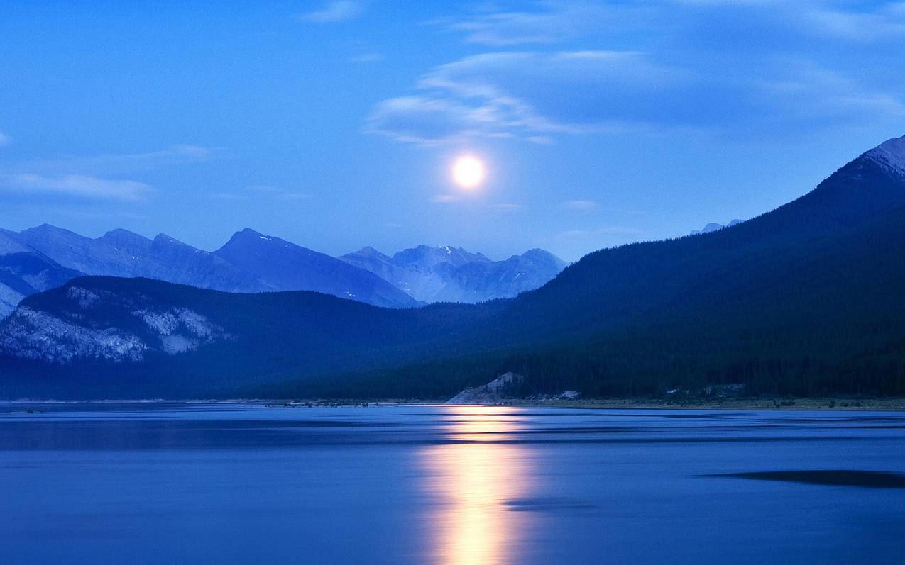 网红商城
